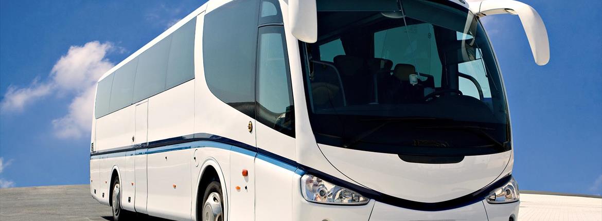 Bus e Minibus Bus e Minibus